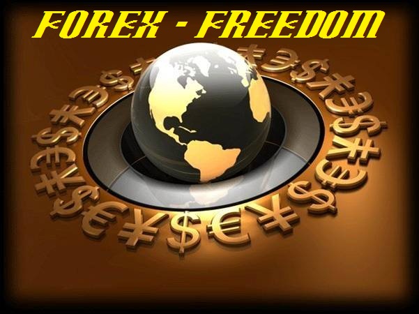 FOREX - the world of financial freedom